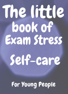 Little book of exam stress